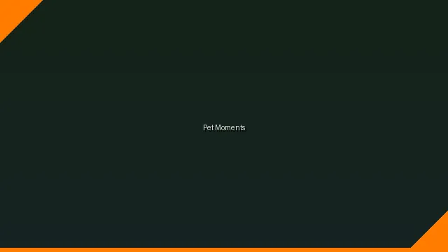 萌宠时刻主题赛 - 爱内姬 UGC视频竞赛